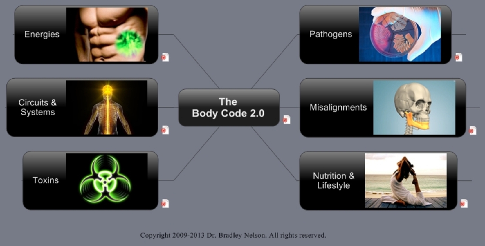 The Body Emotions What is the Body Code The Body Emotions